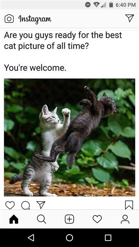 Is Nice R We Wana Fuck Twitch