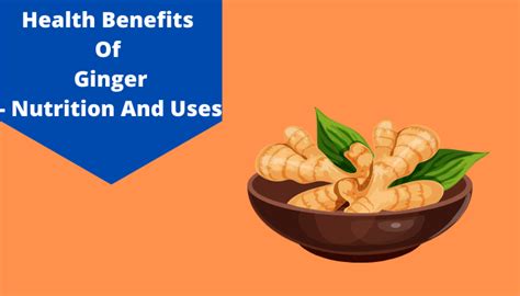 Ginger Benefits Top 12 Health Benefits Of Ginger Livlong