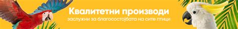 Petsy.mk | Почетна