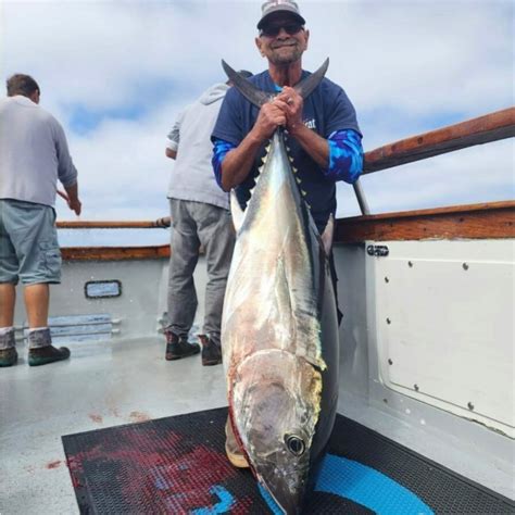 Fish Report The Thunderbird Had Some Solid Bluefin Tuna Fishing