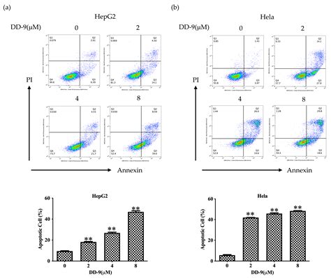 Marine Drugs Free Full Text Dicerandrol C Suppresses Proliferation