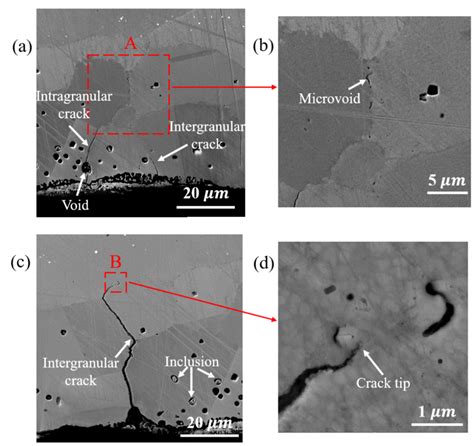 The Microstructures And Sem Images Showing Cracks Inclusions And