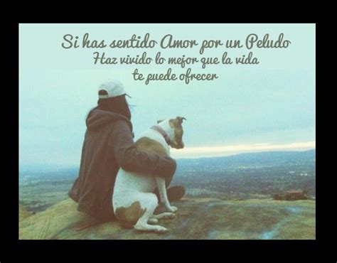 Imagenes Con Frases De Perros