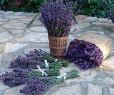 15 Lavender field in Tihany, Hungary ideas | lavender fields, lavender ...