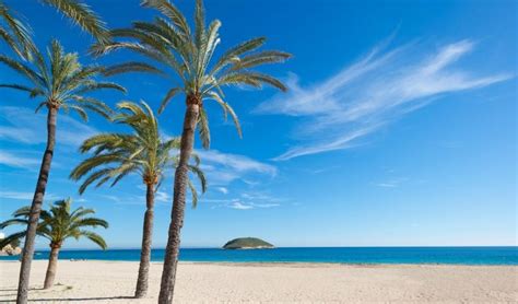 Magaluf Weather. This summer come on Holidays with SuperWeekend