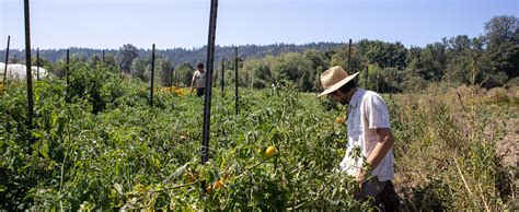 Dry farming: A bounty of sweet fruit, no irrigation necessary | Oxbow Farm & Conservation Center