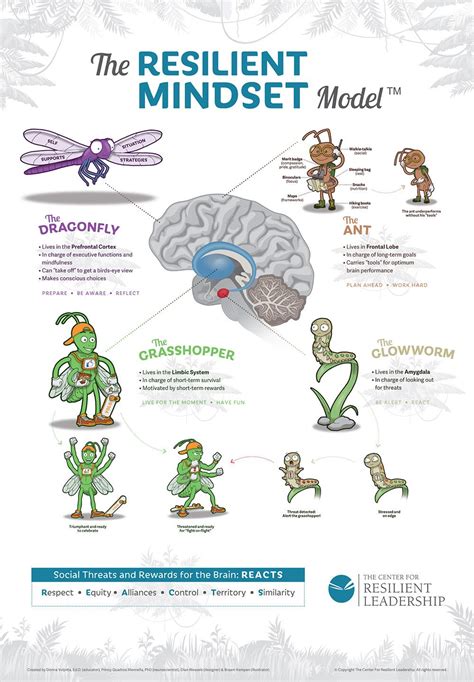 The Resilient Mindset Model Updated 2 Emotional Resilience Resilience Activities Social