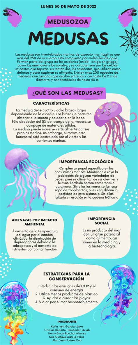 Medusas Te Ayudara Medusas Las Medusas Son Invertebrados Marinos De