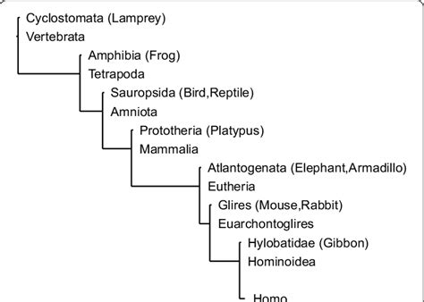 Topological relationship of reduced concestors. We show the topology of ... 