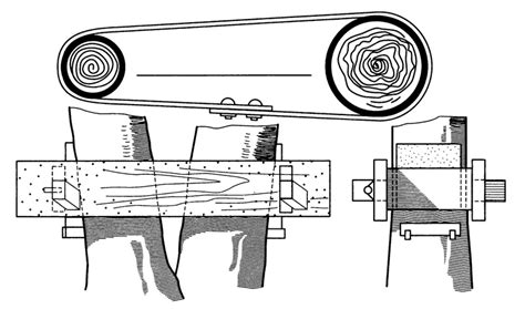 Особенности содержания ценных экземпляров древесных растений ...