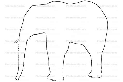 Elephant Outline Line Drawing Baby Shape Animals Photo