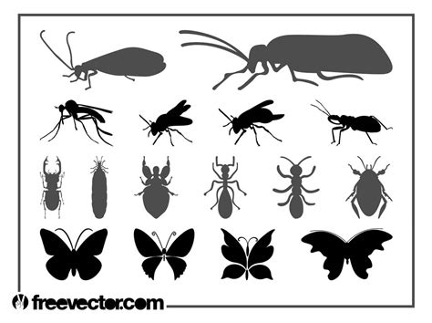 Insects Graphics Set Vector Art And Graphics