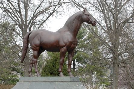 Man o' War - Horse Profile - BloodHorse