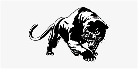 Svg Freeuse Library Climax Scotts Panthers Pinterest Prp Panther