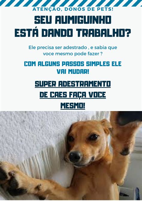 Guia Completo De Adestramento De C Es Ensine Seu Amigo Peludo A Ser Um