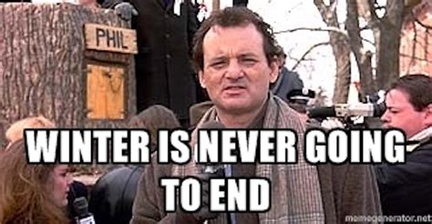 10 Groundhog Day Memes That Celebrate The Ridiculousness Of This Tradition