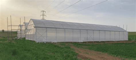 Промышленная теплица BHK Greenhouse из полиэтилена