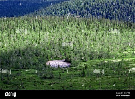 Northern Scandinavian tundra and forest tundra on plateaus Stock Photo ...