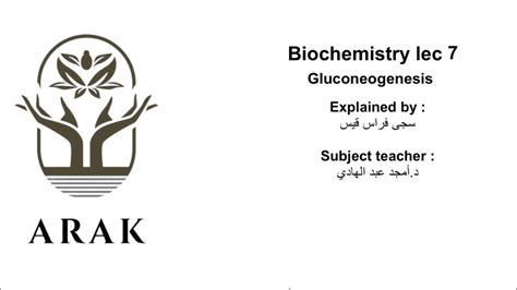 شرح مخطط ال Gluconeogenesis مادة Biochemistry طب أسنان مرحلة ثانية Youtube