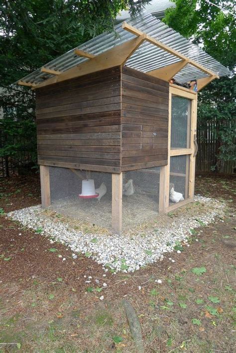 Cookoo That Works How To Keep Chickens Out Of Garden Portable