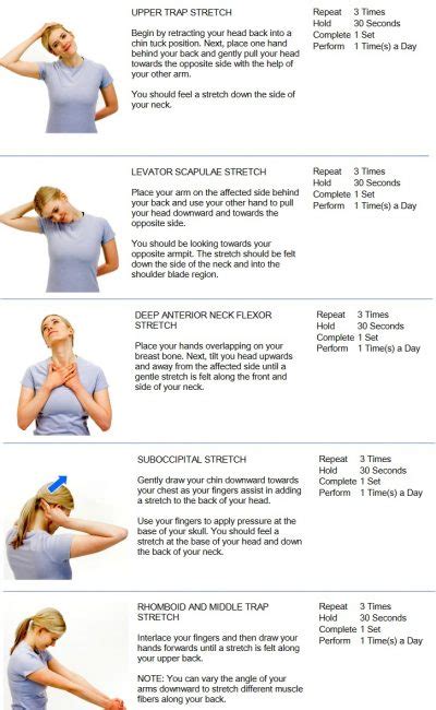 Neck Stretches - Active Chiropractic