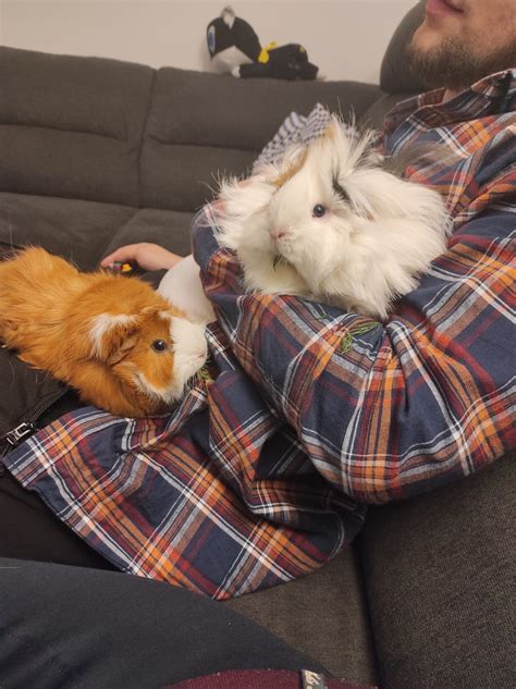 Overview For Naked Ostrich