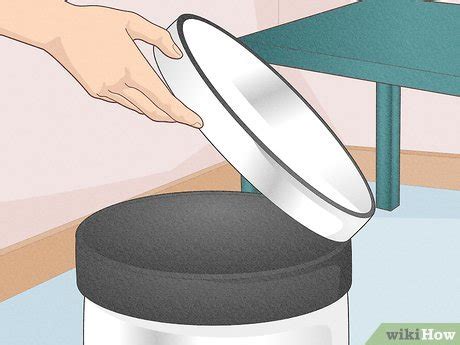 How To Make An Efficient Cat Litter Box Setup Steps