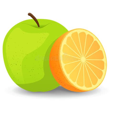 Apples and Oranges stock vector. Illustration of design - 21918782