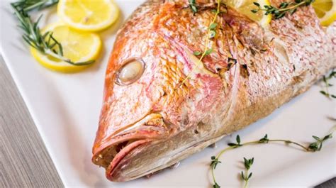 Grilled whole red snapper - I Love Meat - Grilling 101