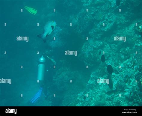 Underwater People Hi Res Stock Photography And Images Alamy