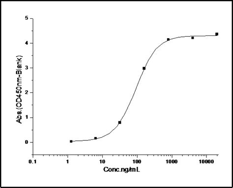 Recombinant Mouse VEGFR2 KDR Protein 50998 M08H B Sino Biological