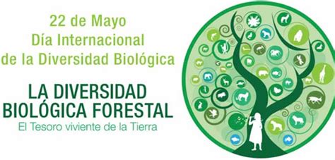 Nuestro Cole Proteger La Biodiversidad