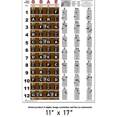 Mandolin Easy Chord Chart Fretboard Notes Poster X Reverb