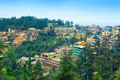 Monks Gyuto Monastery, Dharamshala, India Editorial Image - Image of ...