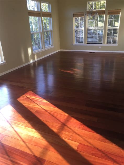 Brazilian Cherry Wood Floor Stain - Flooring Ideas