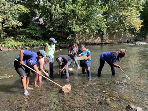 Partnering For Healthy Streams Webinar Monday May Thewatershed Org