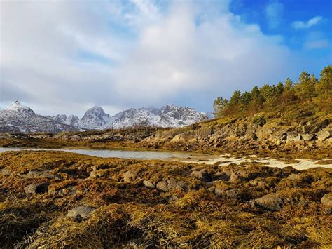 Naturaleza Rocosa En Las Islas De Lofoten Rodeadas Con Las Montañas