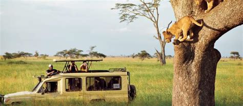 Best Tanzania Safari Tour Serengeti Safari National Geographic