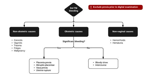 Differential Diagnosis of 3rd Trimester Bleeding