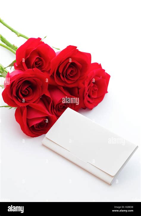 Red rose and gift card Stock Photo - Alamy