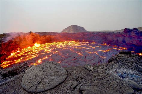 What Lives At The Bottom of A Volcano? - A-Z Animals