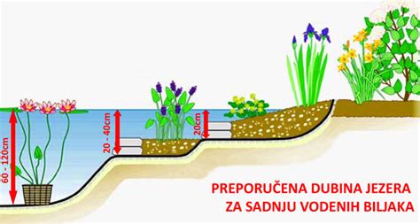 Kako Napraviti Jezero U Vrtu Rasadnik Mihalek