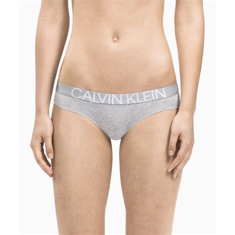 Calvin Klein Women S Statement 1981 Bikini Panty Grey Heather XL