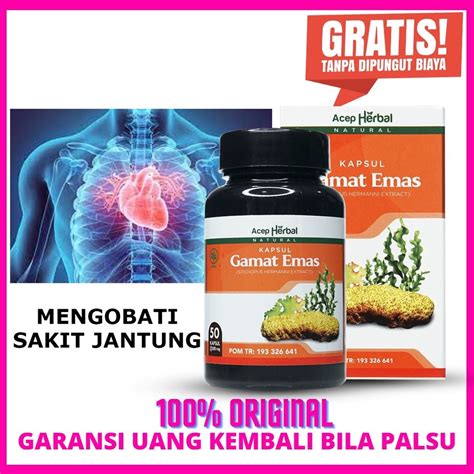 Jual Obat Sakit Jantung Sesak Nafas Nyeri Dada Atasi Dengan Kapsul