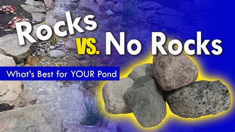 Rocks Vs. No Rocks - What's Best For YOUR Pond - Damascus Enterprises