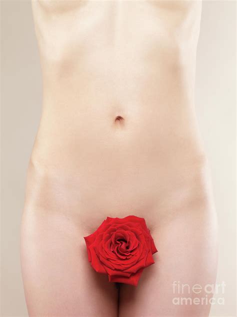 Naked Woman With A Red Rose Photograph By Maxim Images Exquisite Prints Pixels