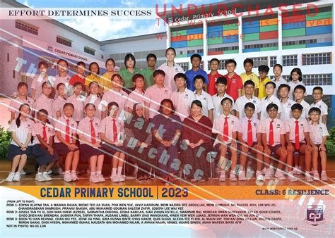 Cedar Primary School 2023 - School 2023 - ADAMPHOTO