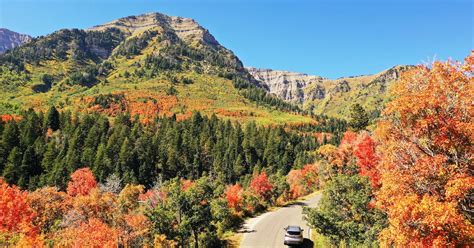 Where is the best place to see fall colors in Utah? – Deseret News