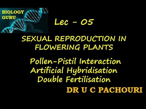 L 05 Pollen Pistil Interaction Artificial Hybridisation Double