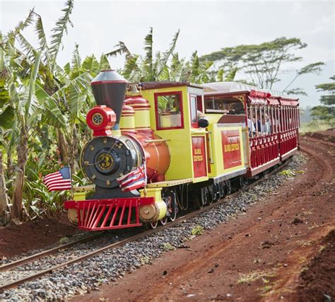 Dole Plantation Express Train Ride | Pineapple Plantation